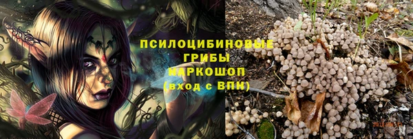 каннабис Каменногорск