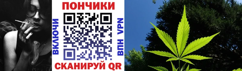 Купить где  Трубчевск  Бошки марихуана White Widow 